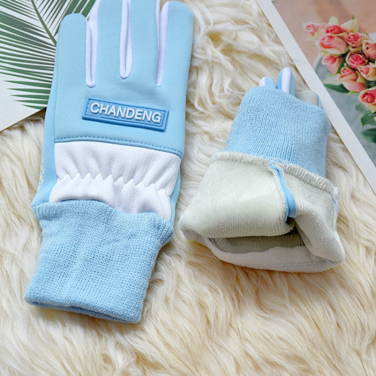 Winter Ski Velvet Warm Gloves Touch Screen Outdoor Riding Waterproof Windproof Gloves, Size: Average