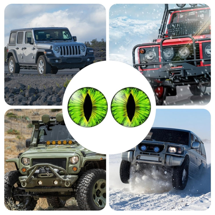 1pair Beast Eyes Headlight Decorative Stickers Off-Road Vehicle Front Lights Stereo Decals, Style: 29