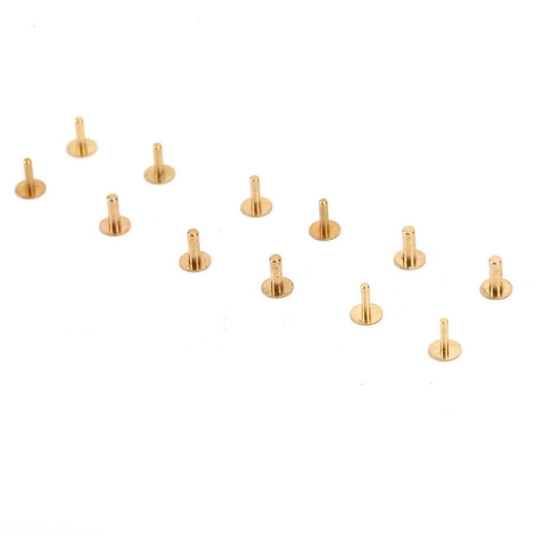 60pcs/Box Watch Nails Watch Repair Tools - No.4052