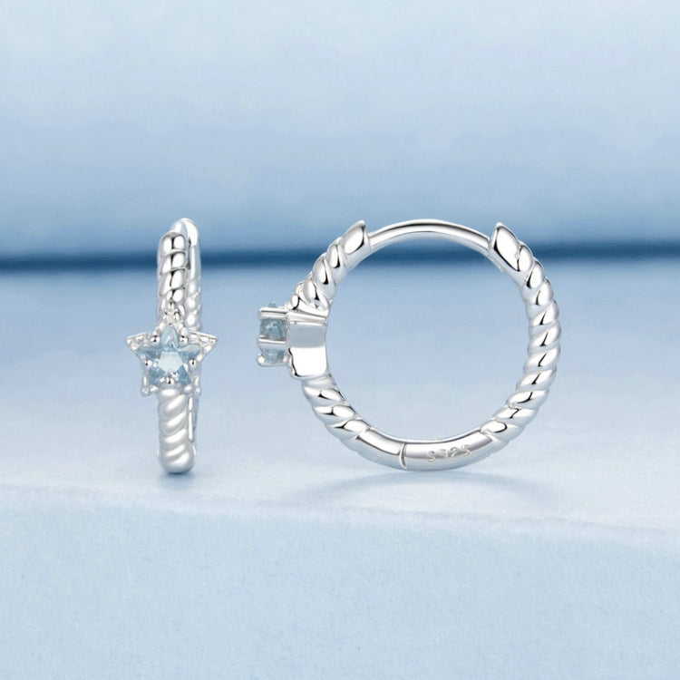 S925 Sterling Silver Zircon Star Earrings - BSE1090