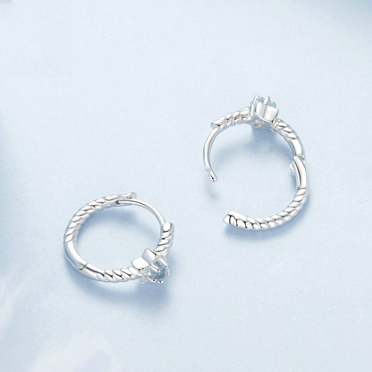 S925 Sterling Silver Zircon Star Earrings - BSE1090