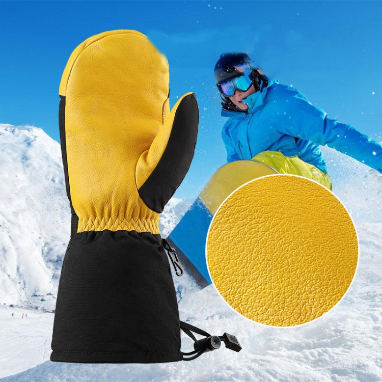 Winter Ski Snow Gloves for Men and Women Outdoor Sport Shovel Ski Gloves, Style: Abalone Black