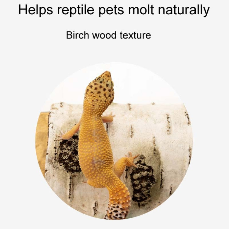 M Aquarium Birch Shape Hiding House Reptiles Lizards Aquascape