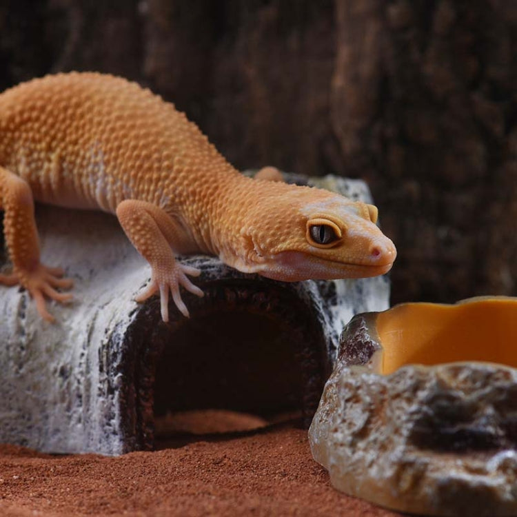 S Aquarium Birch Shape Hiding House Reptiles Lizards Aquascape