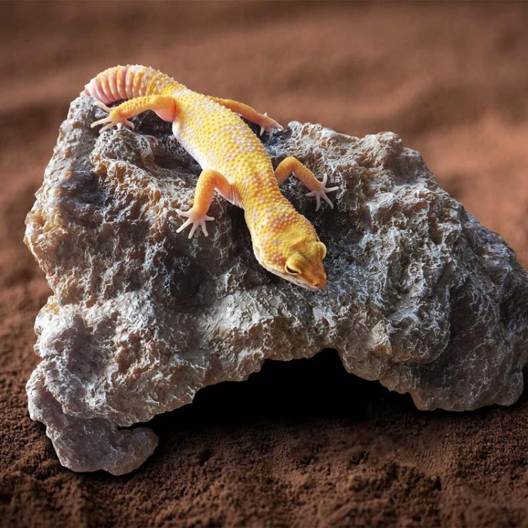 M Reptile Simulation Rocks Hideaway House Turtle Sunbed