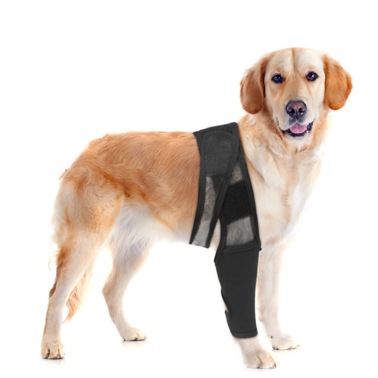 Dog Leg Fracture Protection Injury Support Belt, Size: L - Black