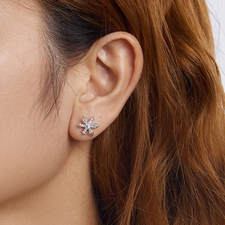 S925 Sterling Silver Winter Snowflake Earrings - BSE1132