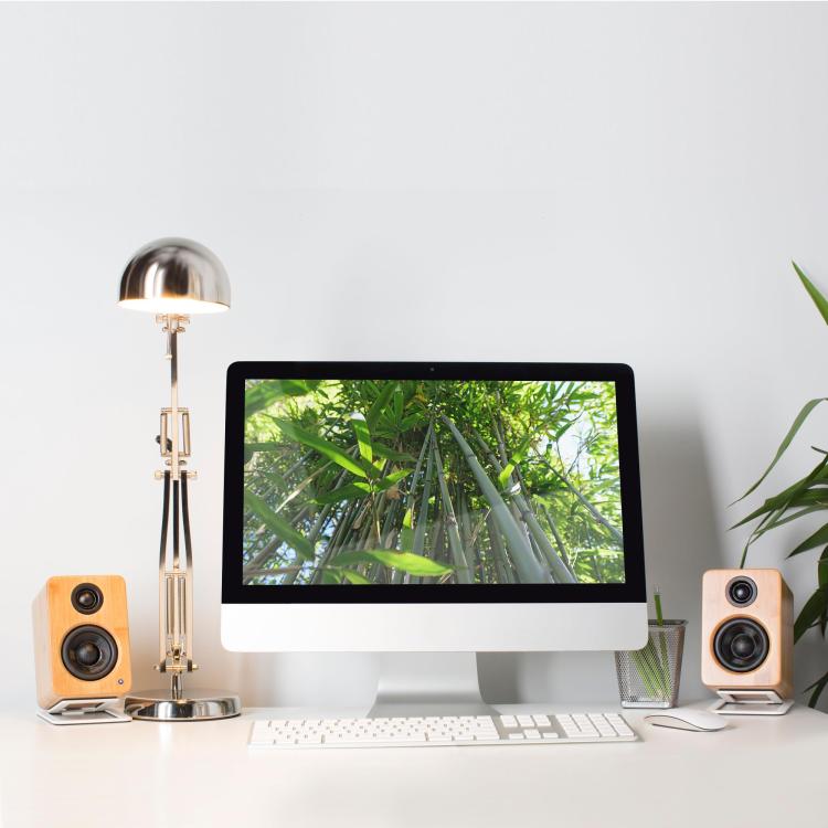 Tilted Metal Desktop Speaker Stand Studio Monitor Speaker Bracket