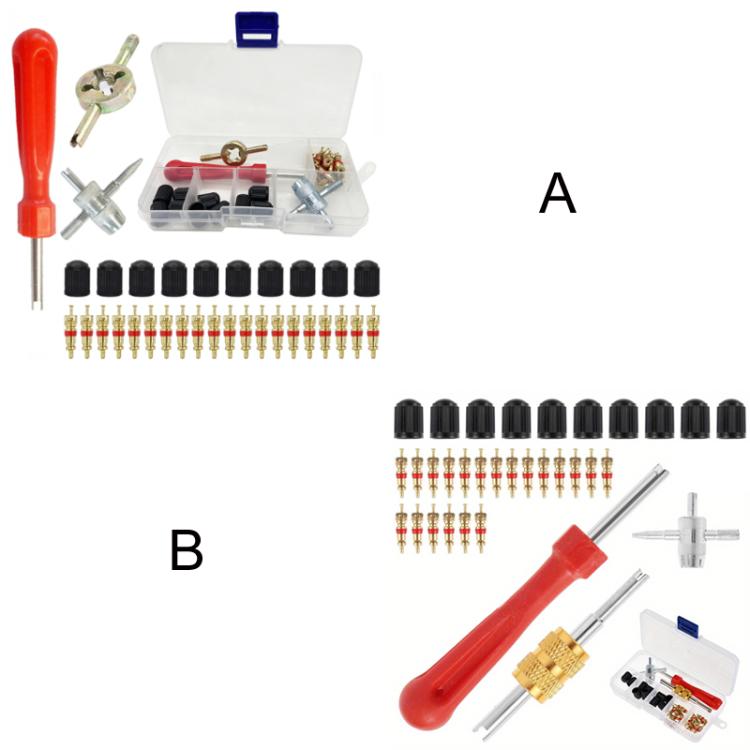 33pcs/Set Car Bicycle Tire Valve Core Installation Tool Repair Kit, Specifications: A