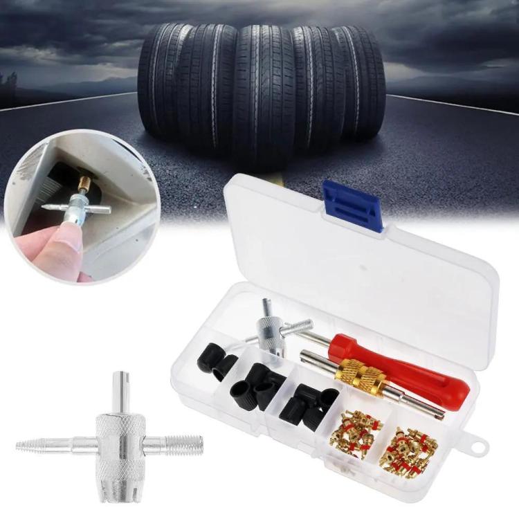 33pcs/Set Car Bicycle Tire Valve Core Installation Tool Repair Kit, Specifications: A