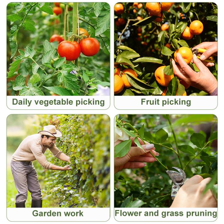 4pcs /Pack Melon and Fruit Picking Small Guillotine Grape Pinching Thumb Knife Vegetable Picker - Red