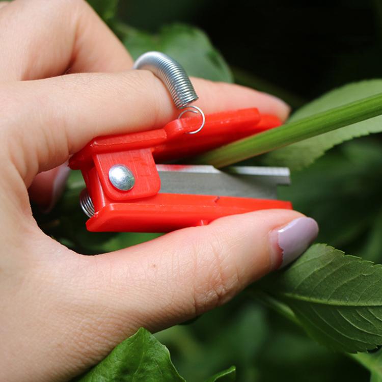 4pcs /Pack Melon and Fruit Picking Small Guillotine Grape Pinching Thumb Knife Vegetable Picker - Red