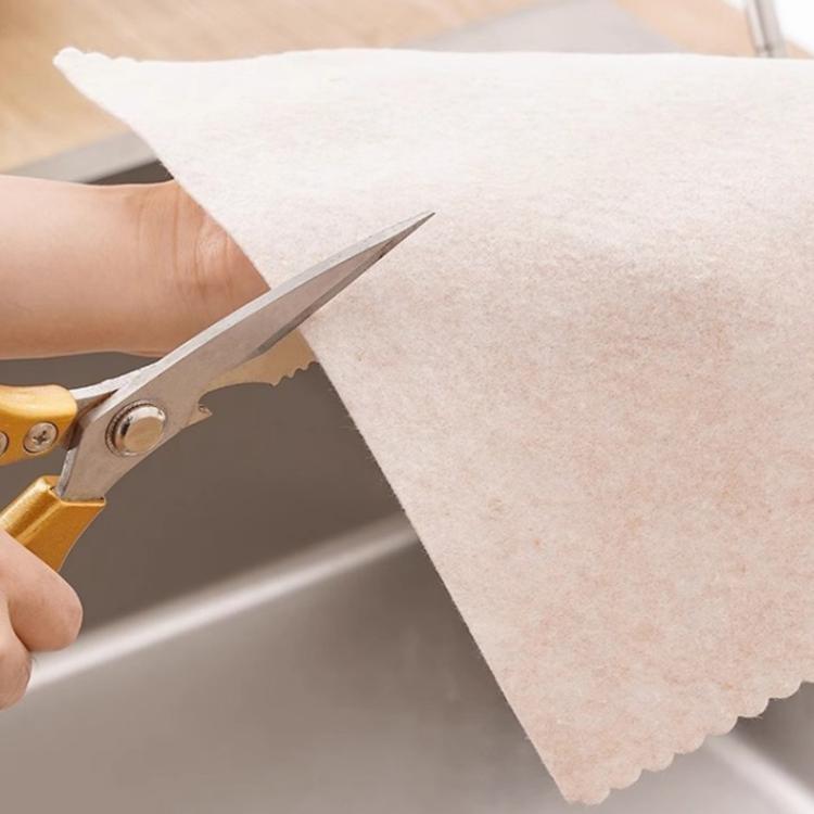 20pcs /Pack Thickened Loofah Rag Plant Fiber Oil-absorbing Kitchen Dishcloth, Size: 20x20cm
