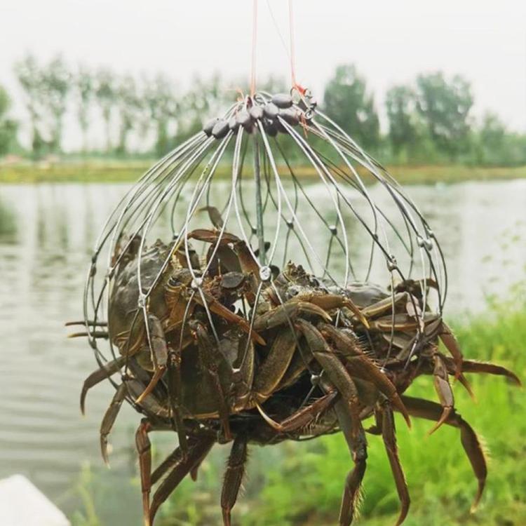 Diameter 52cm/16 Strands Automatically Retractable Crab Cage Wire Crab Opening And Closing Cage
