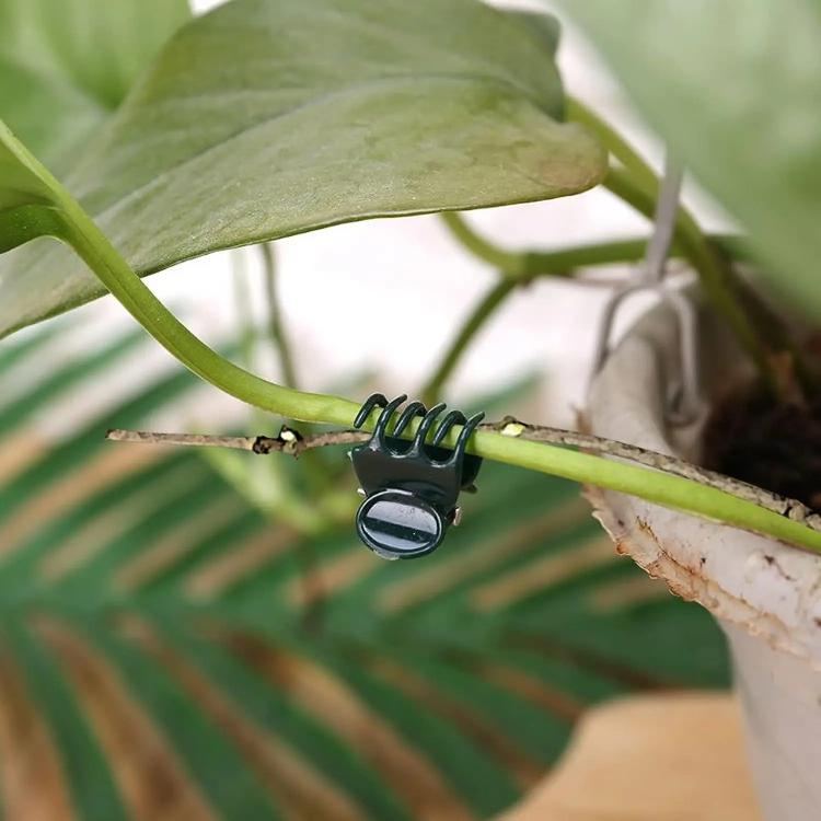 50pcs /Pack Gardening Vine Fixing Clip Plant Shaping Tool Plant Grafting Clip - AT945