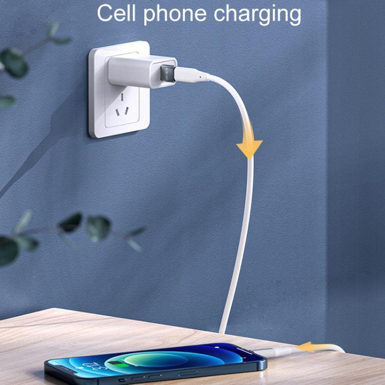 JINGHUA S505 Alloy Case Cell Phone To Computer USB2.0 Adapter - USB Male To Type-C
