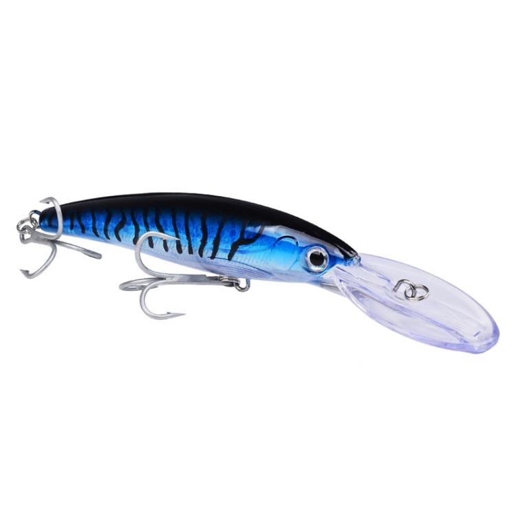 PROBEROS DW627 Long-Distance Casting Large Minnow Lure Fishing Bionic Bait, Style: B