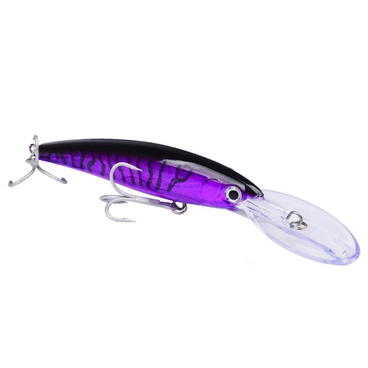 PROBEROS DW627 Long-Distance Casting Large Minnow Lure Fishing Bionic Bait, Style: C