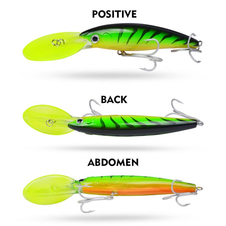 PROBEROS DW627 Long-Distance Casting Large Minnow Lure Fishing Bionic Bait, Style: E