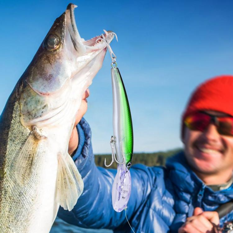PROBEROS DW627 Long-Distance Casting Large Minnow Lure Fishing Bionic Bait, Style: D