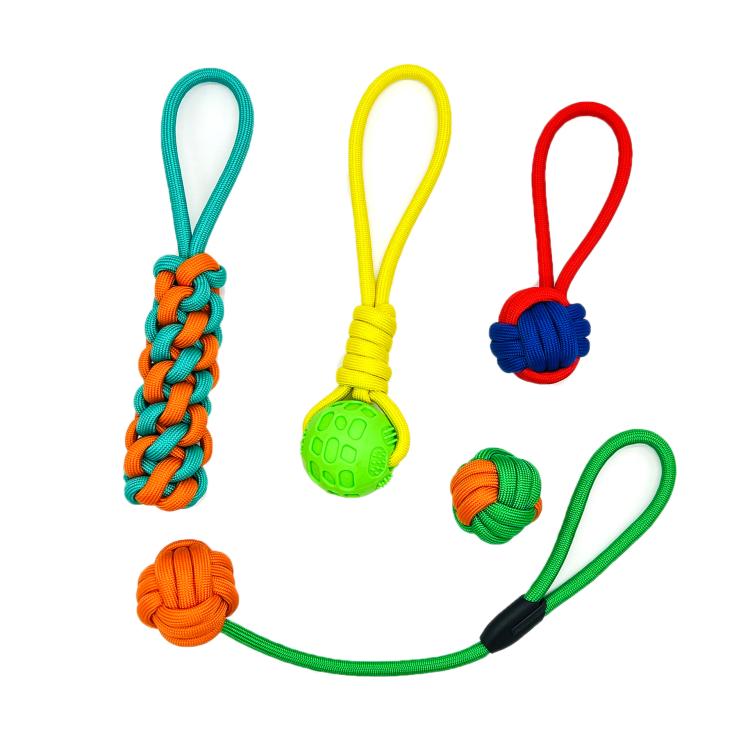 Pet Knot Chewing Toy Combination Set, Specifications: 5pcs /Set Polypropylene Model 435