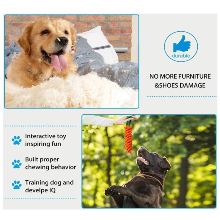 Pet Knot Chewing Toy Combination Set, Specifications: 10pcs /Set Red Footprint Flying Disc 745