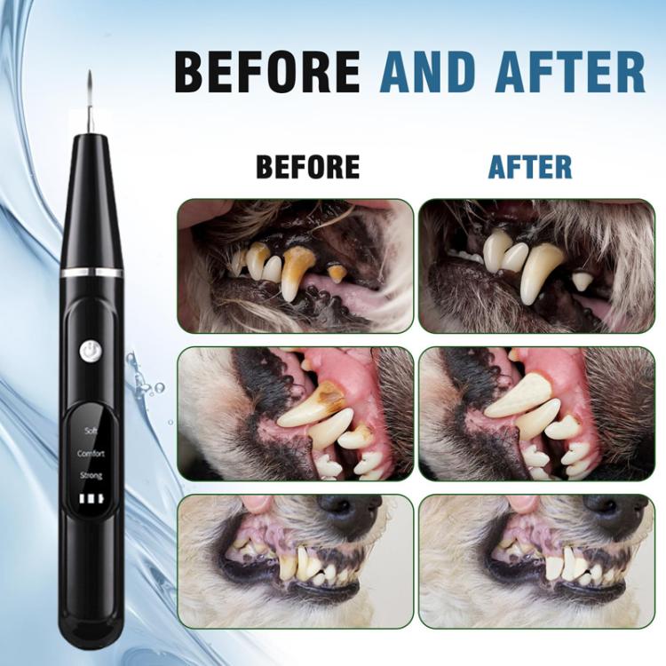 Pet Ultrasonic Teeth Cleaner Dog Tooth Brushing Kit Plaque Tartar Remover Dental Care Tool, Spec: With Gift Box Oral Mirror  - White