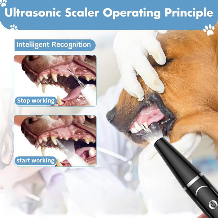 Pet Ultrasonic Teeth Cleaner Dog Tooth Brushing Kit Plaque Tartar Remover Dental Care Tool, Spec: With 3pcs Kit  - White