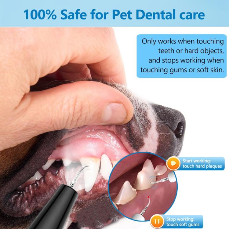 Pet Ultrasonic Teeth Cleaner Dog Tooth Brushing Kit Plaque Tartar Remover Dental Care Tool, Spec: With Gift Box Oral Mirror  - White