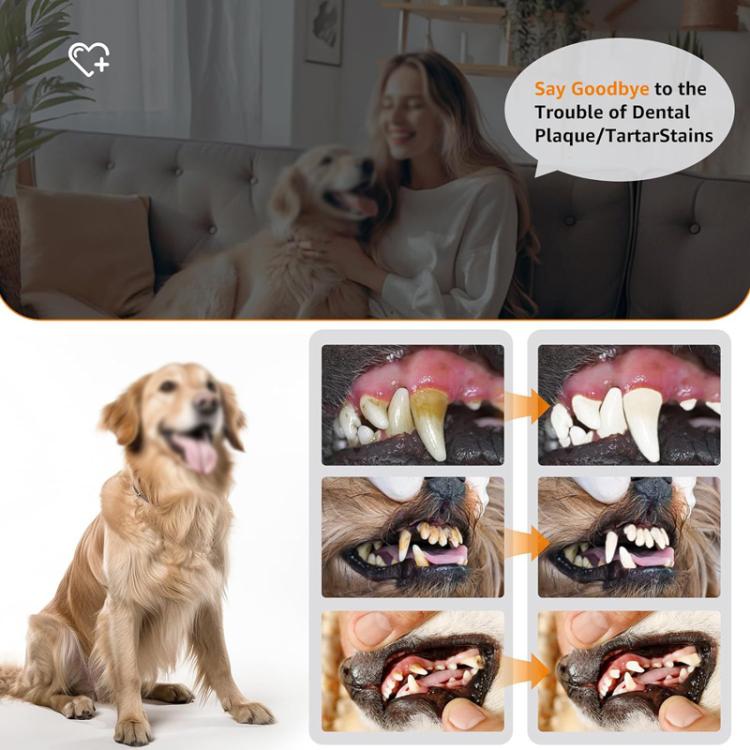 Pet Ultrasonic Teeth Cleaner Dog Tooth Brushing Kit Plaque Tartar Remover Dental Care Tool, Spec: With 3pcs Kit  - Black