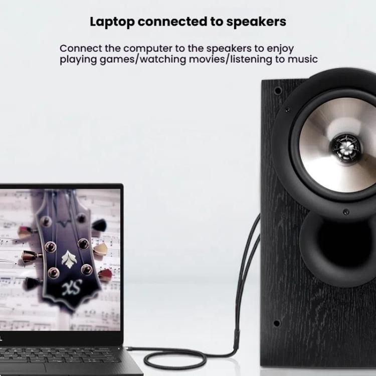 VEGGIEG 3.5mm 3.5 To 2RCA Audio Cable Cell Phone Computer Speaker Connection Cable, Length: 3m