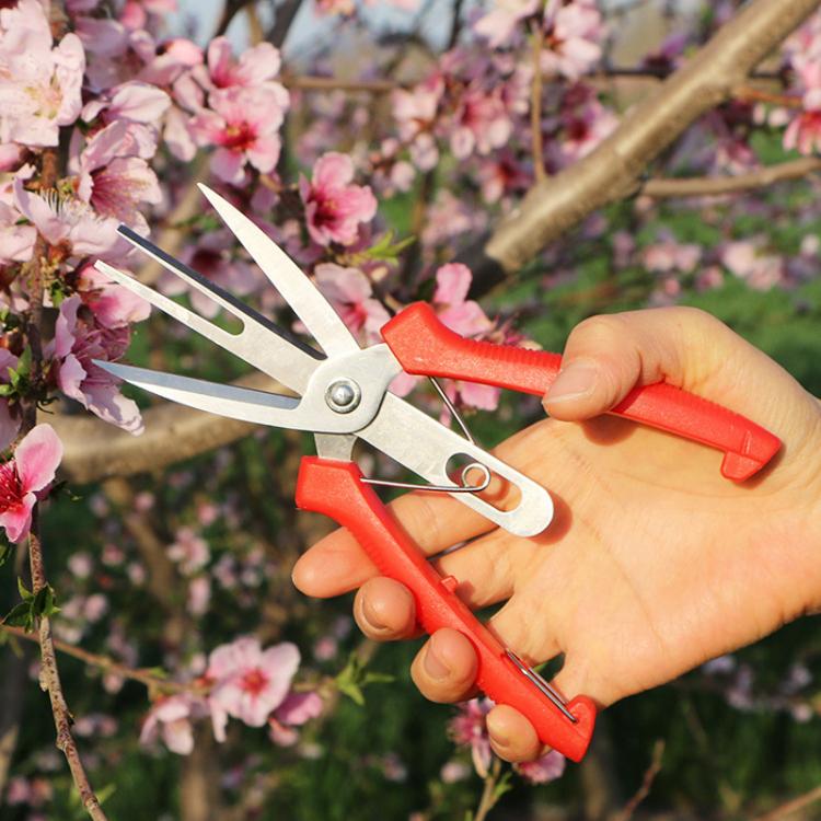 6608-1 Agricultural Fruit And Flower Thinning Scissors Home Gardening Pruning Tools