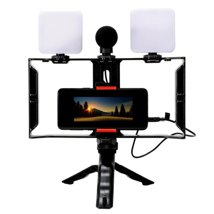 Smartphone Video Rig Kit with LED Fill Light & Microphone All-in-One Mobile Live Streaming - AY-49X