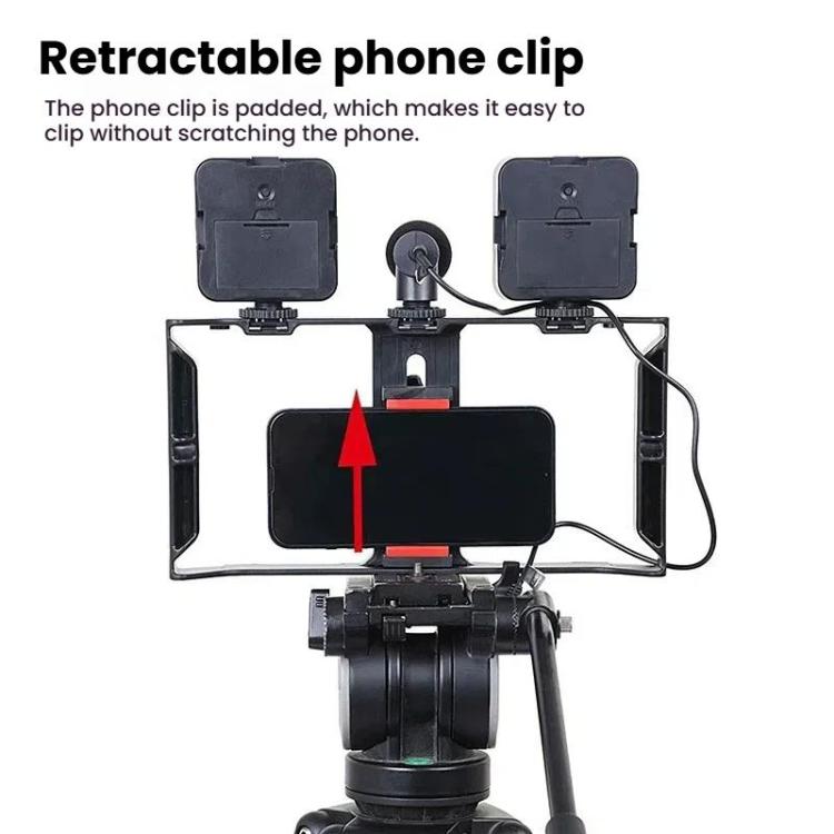 Smartphone Video Rig Kit with LED Fill Light & Microphone All-in-One Mobile Live Streaming - AY-49X