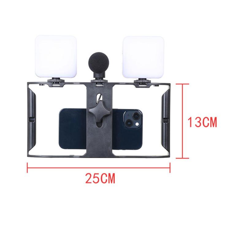 Smartphone Video Rig Kit with LED Fill Light & Microphone All-in-One Mobile Live Streaming - AY-49X