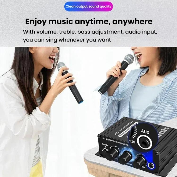 AK270 With DC Line Car Home Stereo Mini Amplifier