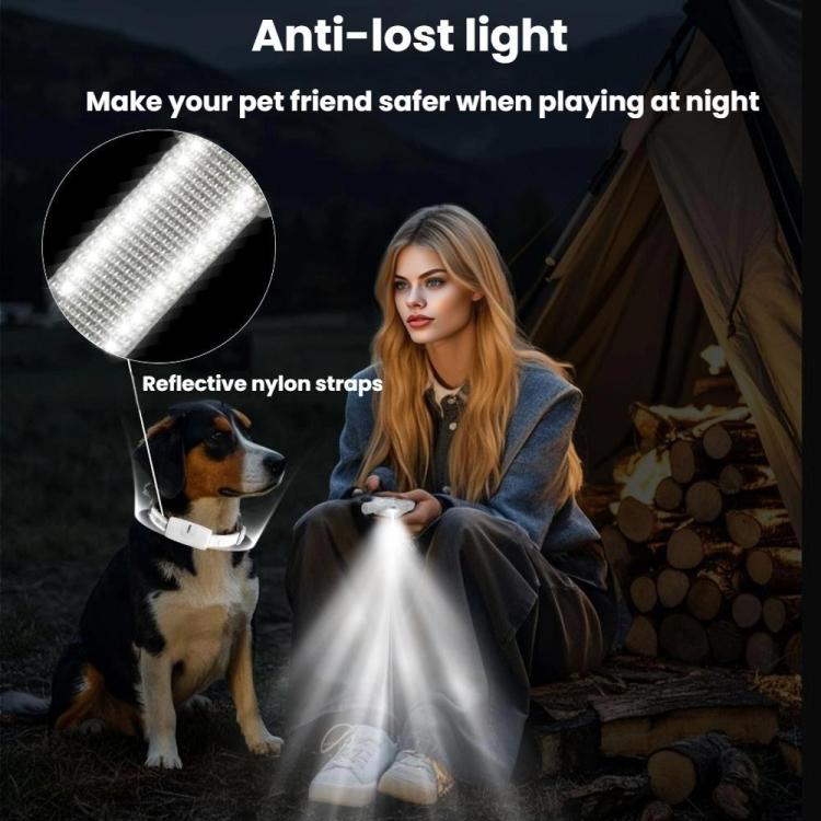 Remote Control Dog Barking Control Device Rechargeable Waterproof Electric Shock Collar, Specification: One To Two