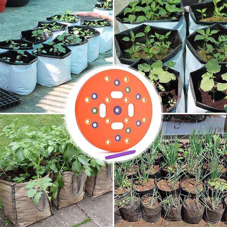 Seeding Stencil Spacing Tool Vegetable Planting Board