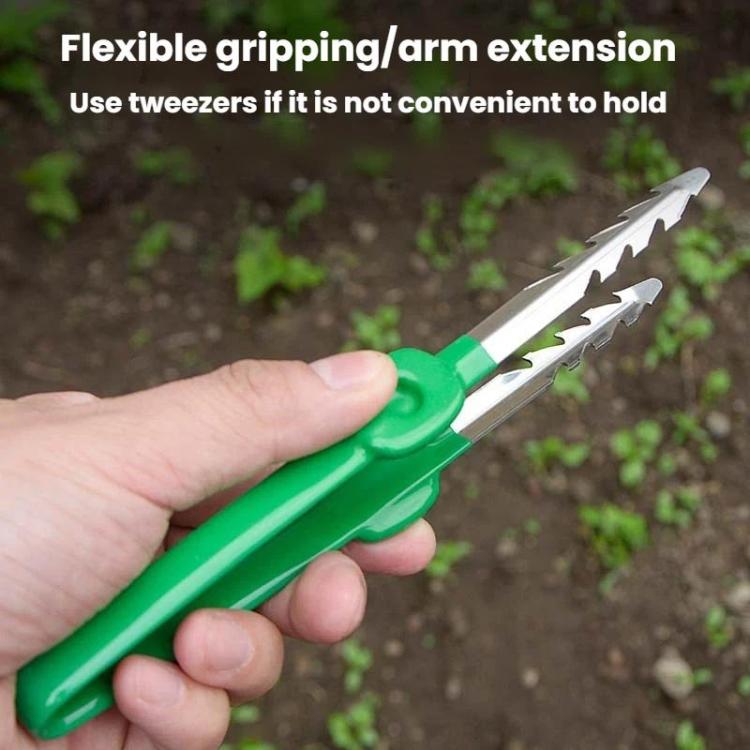 Gardening Succulent Tending Building Tools Tweezers Home Vegetable Garden Weeding Fetching Clip - Color Random Delivery