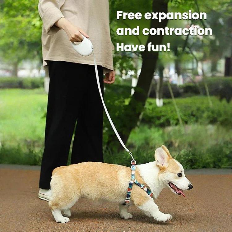 Retractable Dog Leash for Small & Medium Dogs No Tangle Walking Pet Lead, Size: 5m