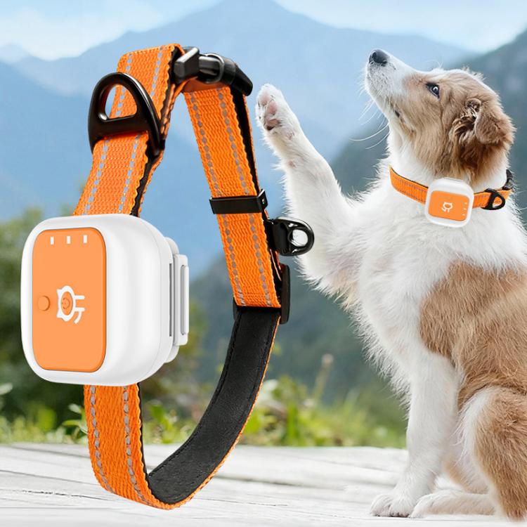 Real-Time GPS/WIFI Location SOS Distress Electronic Fence Alert Pet Collar - Orange