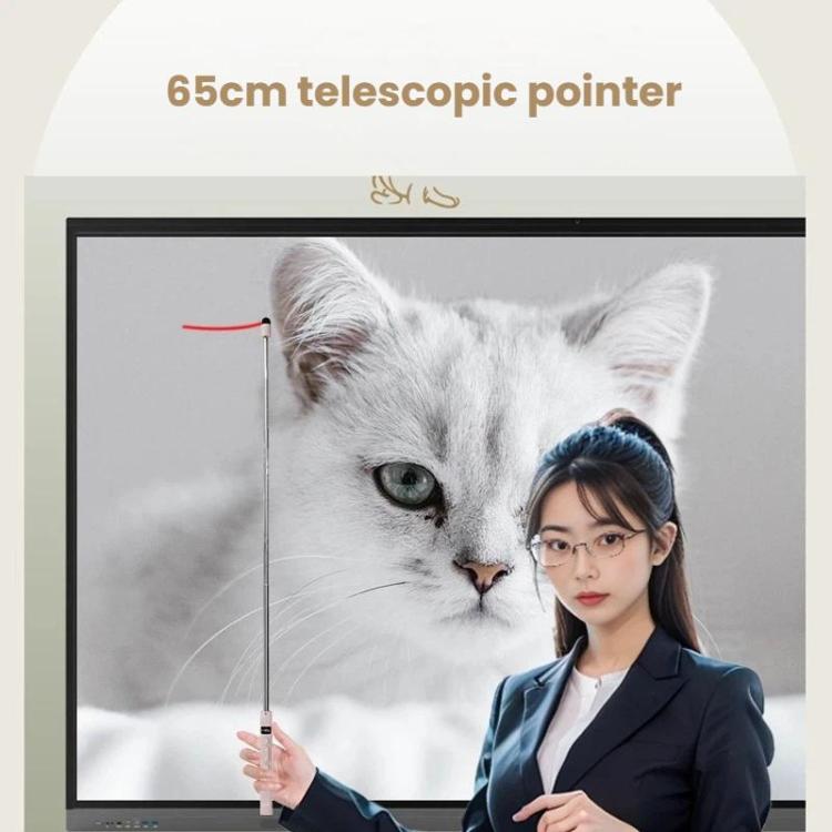 OUBAI T10S Presentation Pointer With Magnifier & Air Mouse, Red Laser, Screen Writing, Timer, Plug & Play - Pink