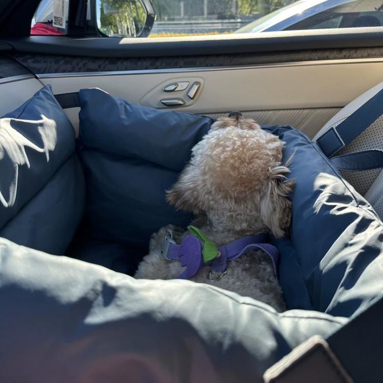 Car Seat Removable Washable PU Waterproof Chew-resistant Pet Bed, Size: 50x45x40cm