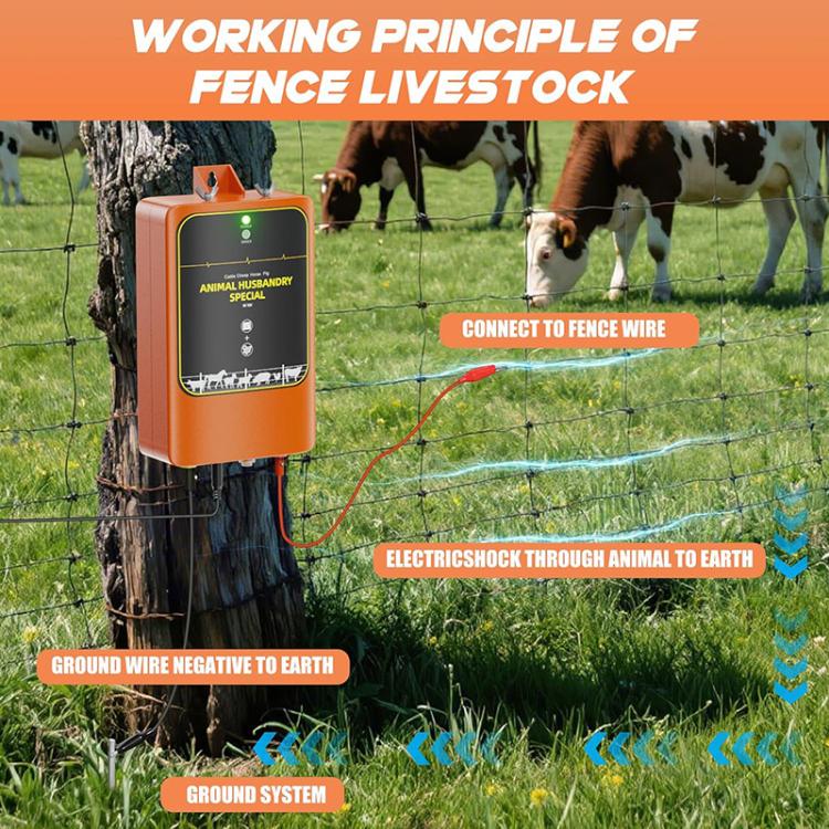 TYN10 Solar-Powered Livestock Electric Fence Charger Pulse Electric Fence Energizer EU Plug