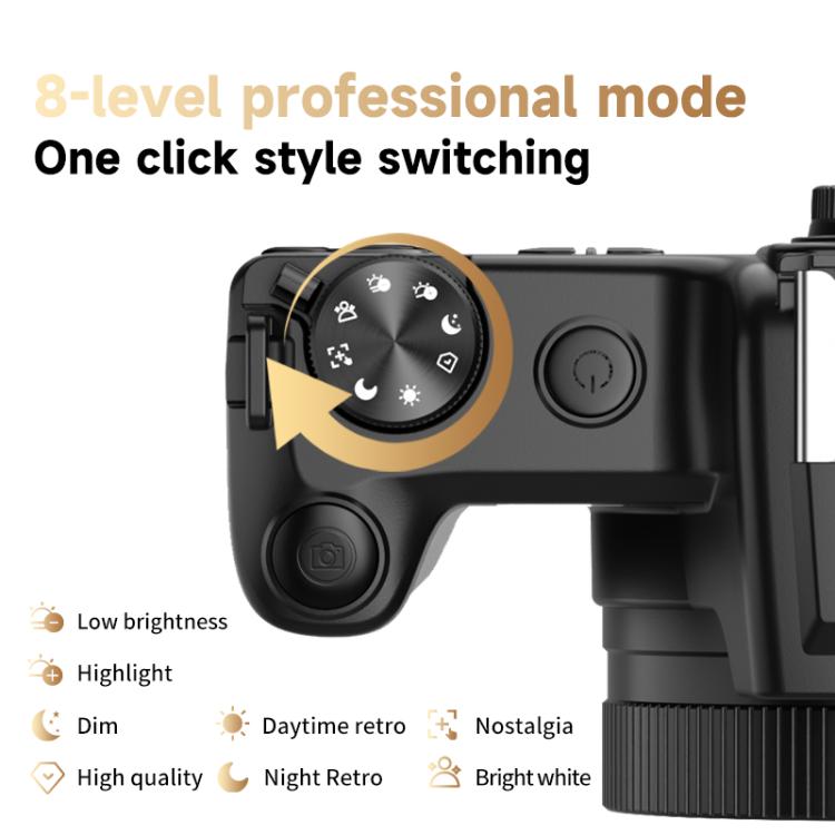 HD Retro Digital Camcorder Camera Portable Micro DSLR Camera, Model: DC101 + Microphone