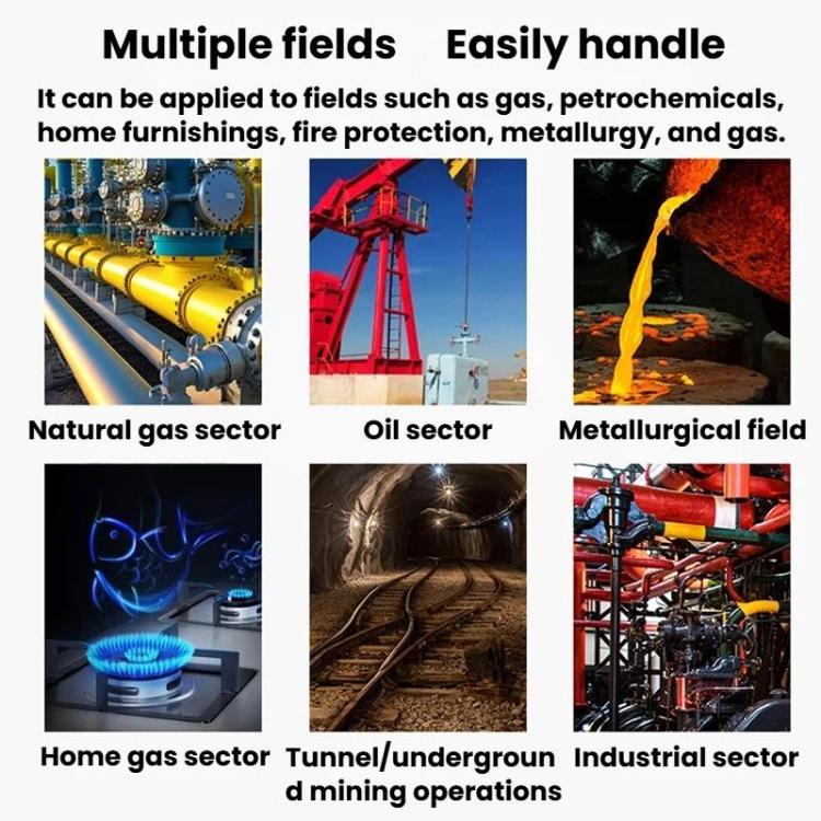 SMART SENSOR AS8800C Portable Digital Display Combustible Gas Detector High-Precision Alarm Gas Leak Detector