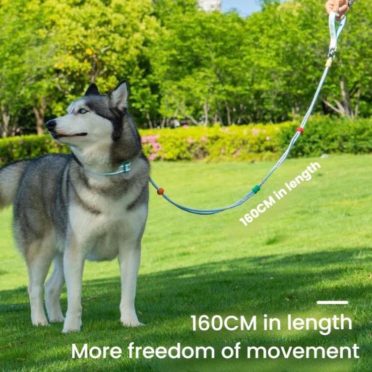 Pet Double-section P-shaped Leash Multi-functional Collar Walking Lead, Size: M