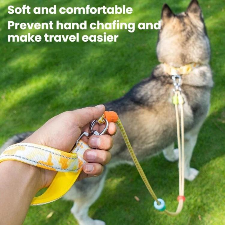 Pet Double-section P-shaped Leash Multi-functional Collar Walking Lead, Size: M