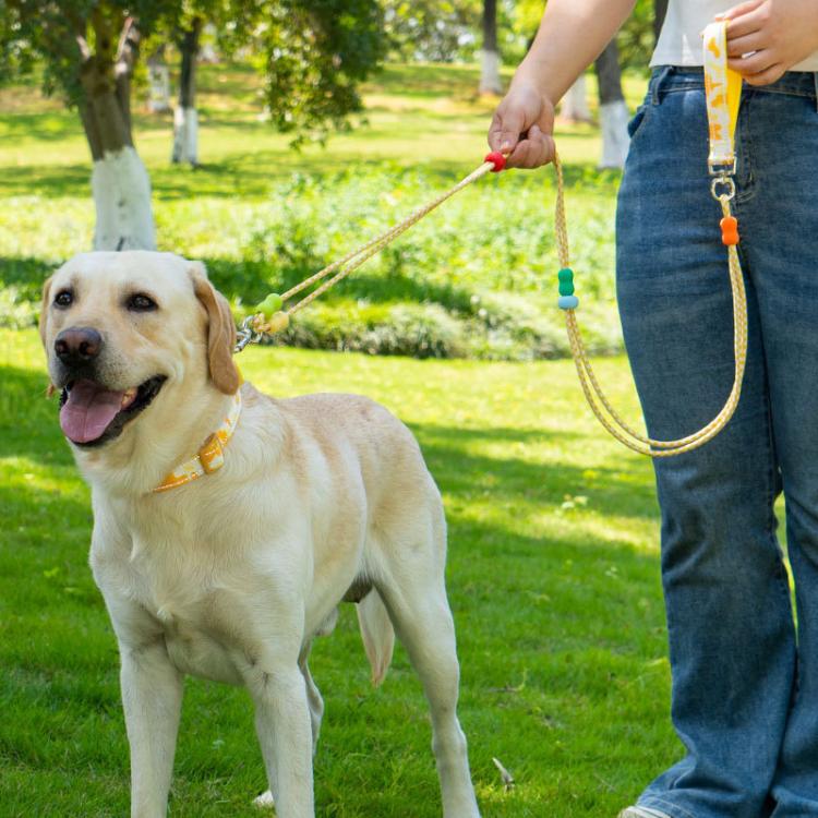 Pet Double-section P-shaped Leash Multi-functional Collar Walking Lead, Size: S