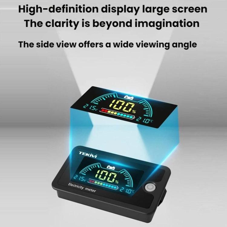 TEKM 8-100V Two-Wire Battery Power LCD Digital Display - Standard 6840D